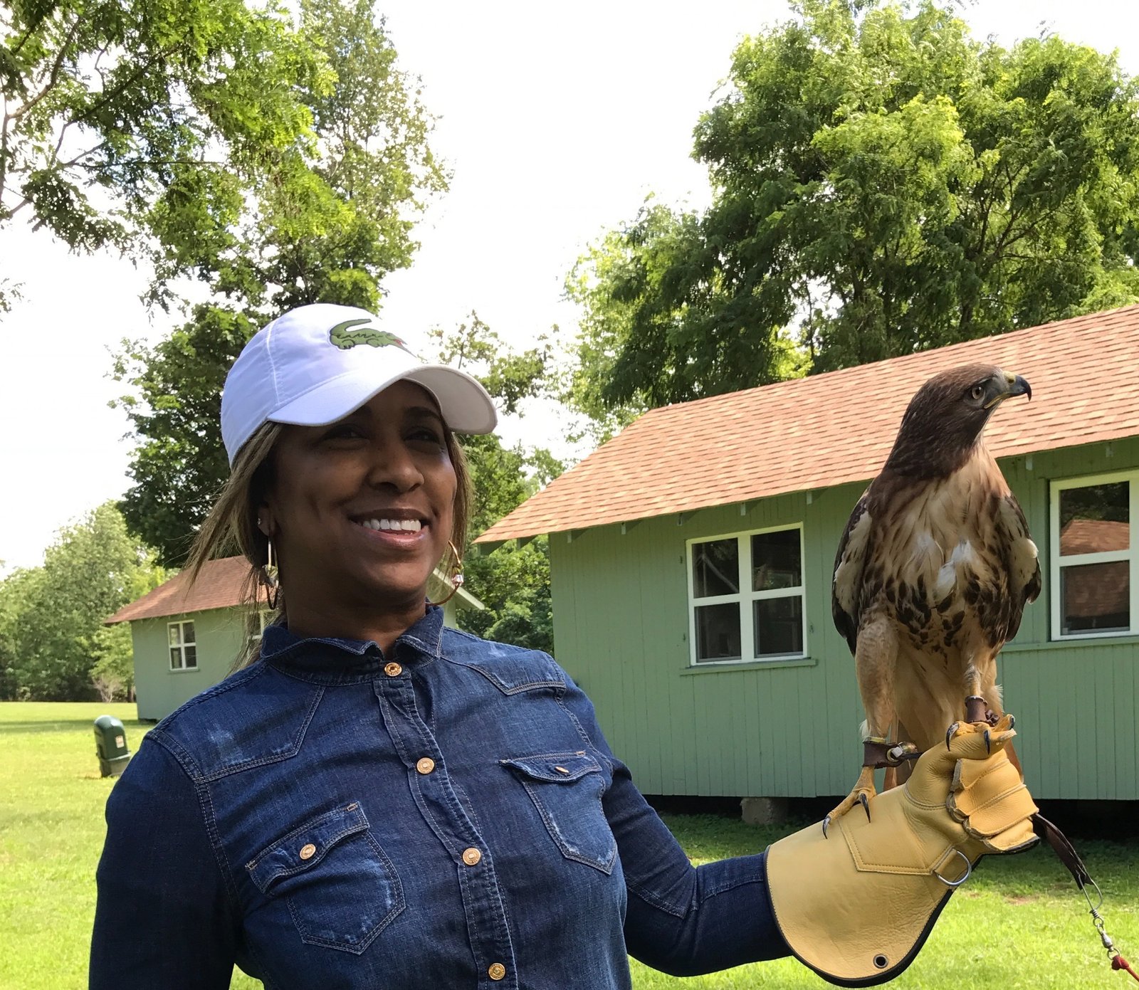 Educator holding a hawk during a raptor program