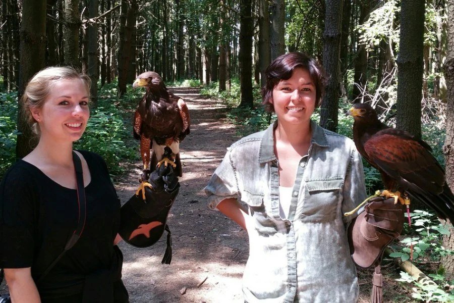 Guests walking through woods with hawks on gloves