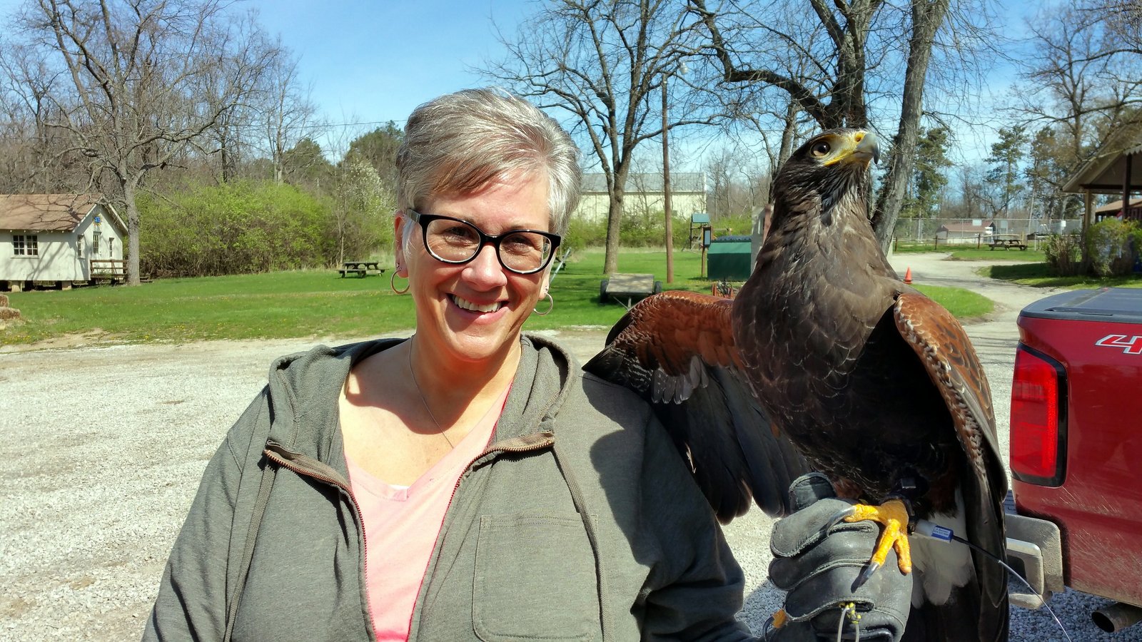 Ohio School of Falconry educator with an ambassador raptor outdoors