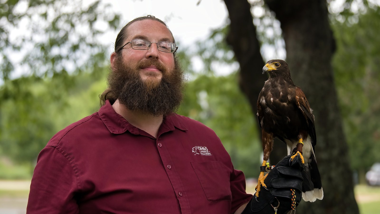 Ohio School of Falconry guests and ambassador hawks at a program site